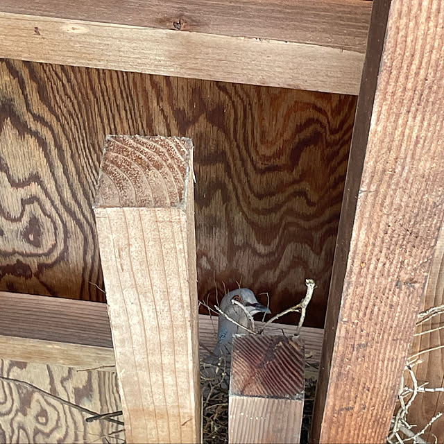 kakoさんの部屋