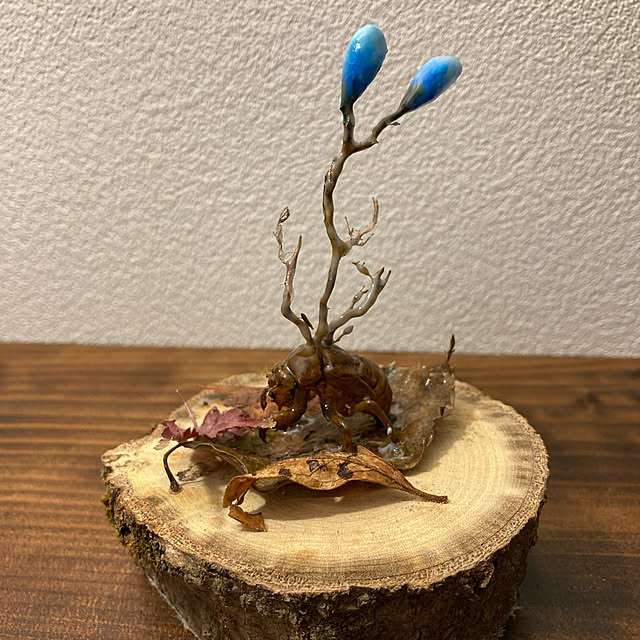 jing.k.craftさんの実例写真
