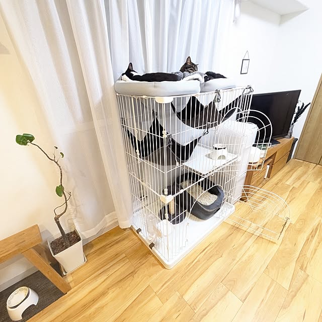 hihaさんの部屋