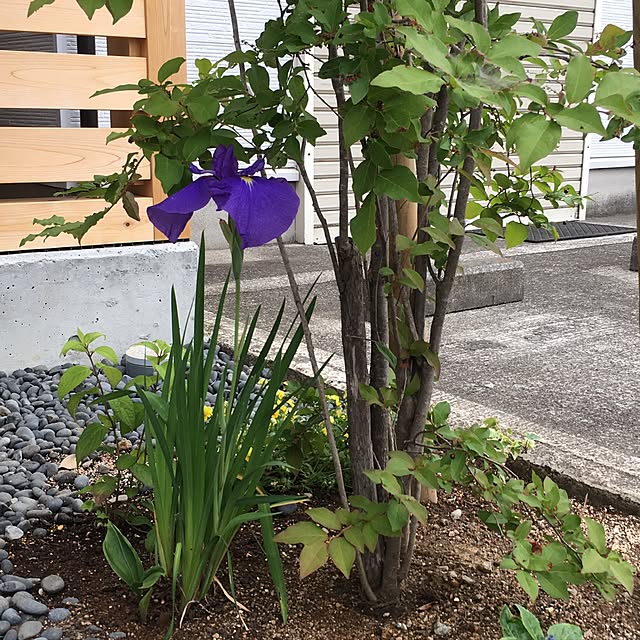 Norikoさんの実例写真