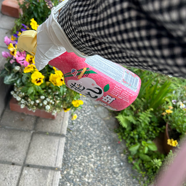 ritsukoさんの部屋