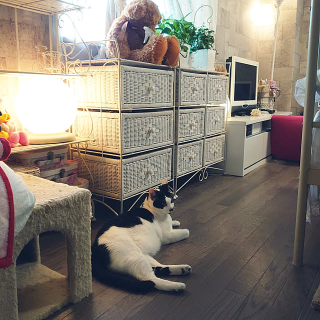 asuminさんの実例写真