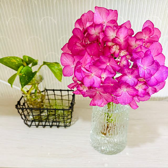 3setai_gurashiさんの実例写真