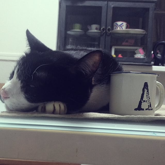 Tippiさんの実例写真
