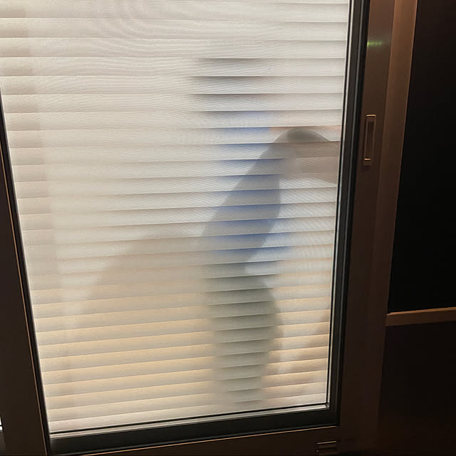 yossy.syさんの実例写真
