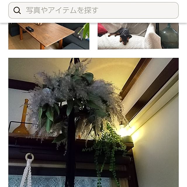 koyutan-mjmさんの部屋