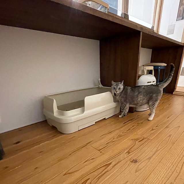 green_nekoさんの実例写真