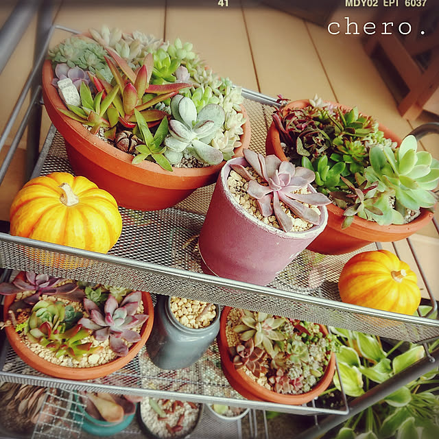 chero.さんの実例写真