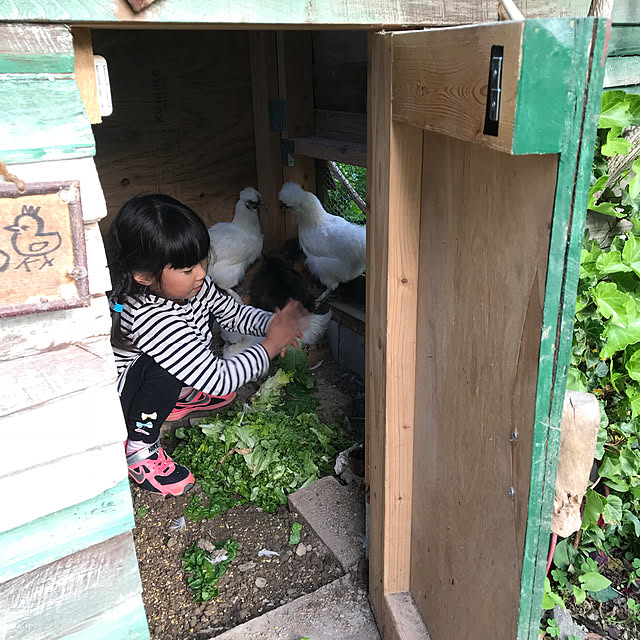 pepeさんの実例写真