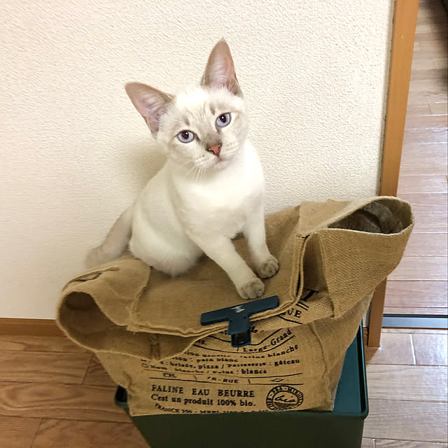 Honamiさんの実例写真