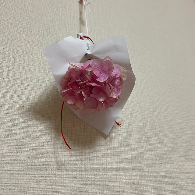 kuikoさんの部屋