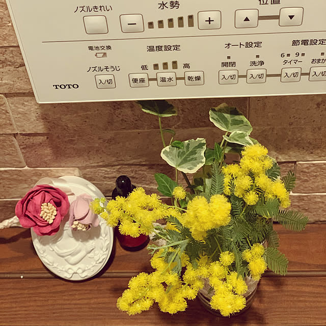 eru-chanさんの実例写真