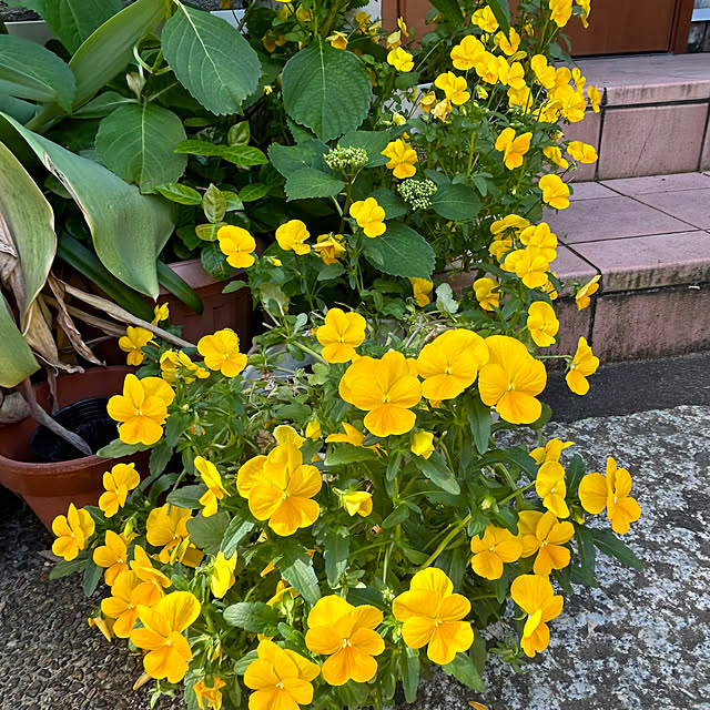 fumikoiさんの部屋