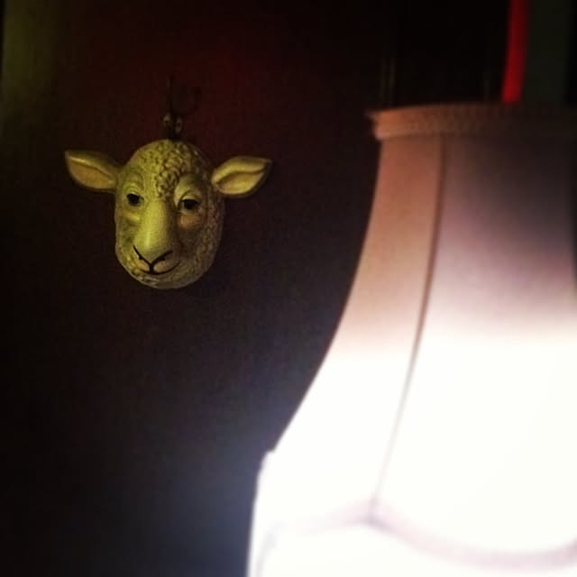 Kikoさんの実例写真
