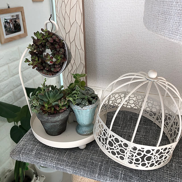 mikenekoさんの部屋