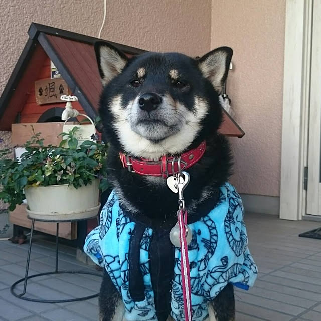 tsutawarimasuさんの実例写真