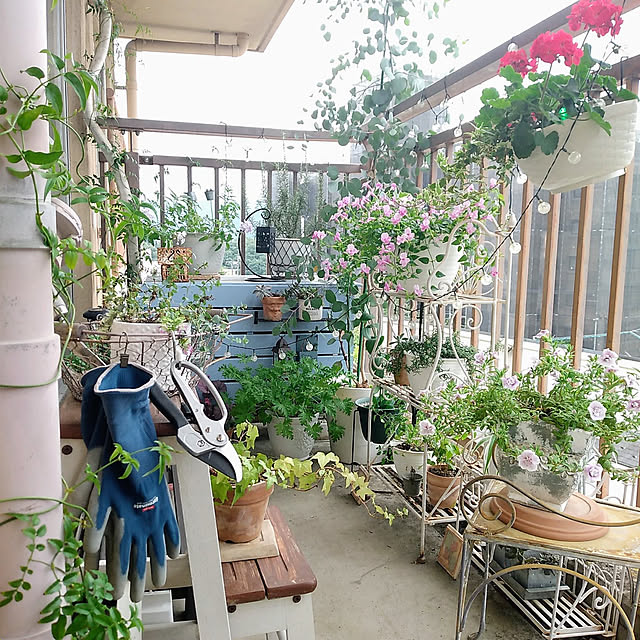 sanaさんの実例写真