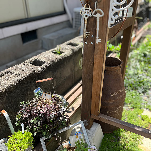 mayumiさんの部屋