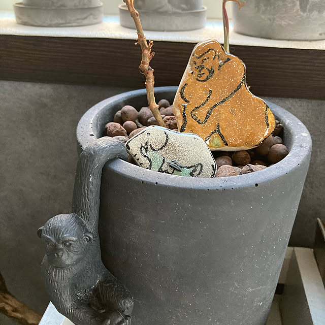 tomotomoさんの実例写真