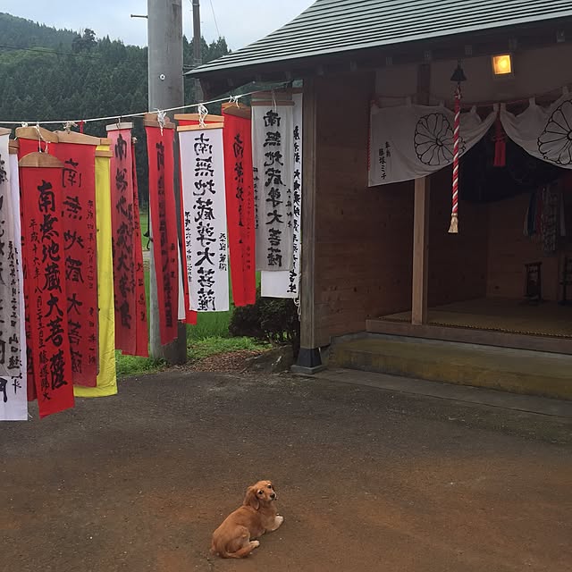 実例写真