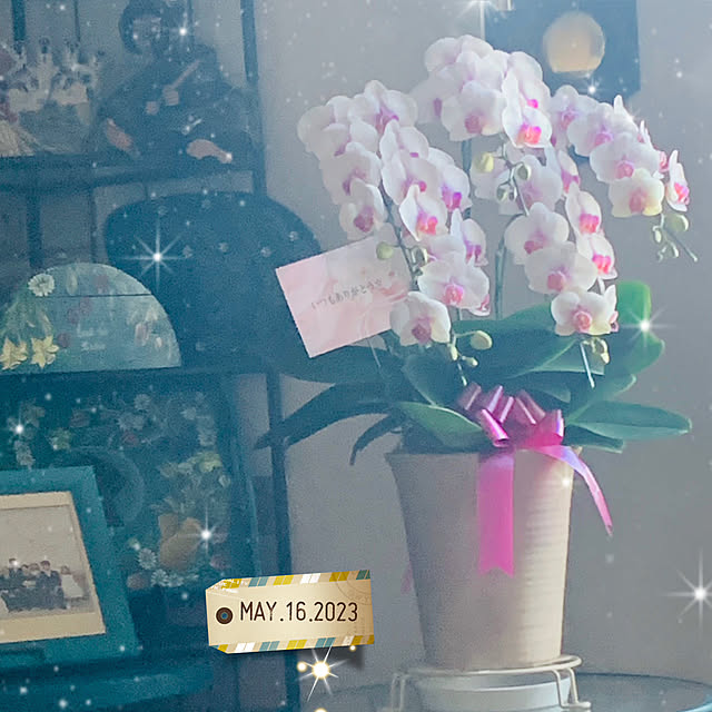 majoramさんの部屋