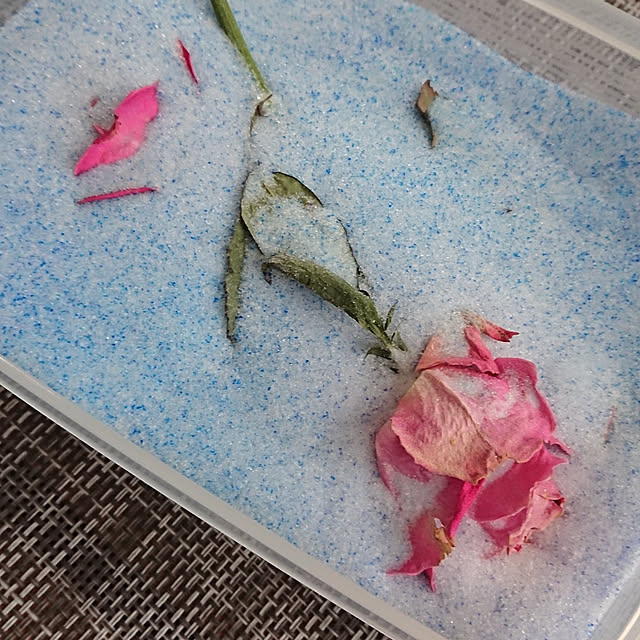 totoroさんの実例写真