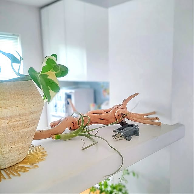 Haさんの部屋