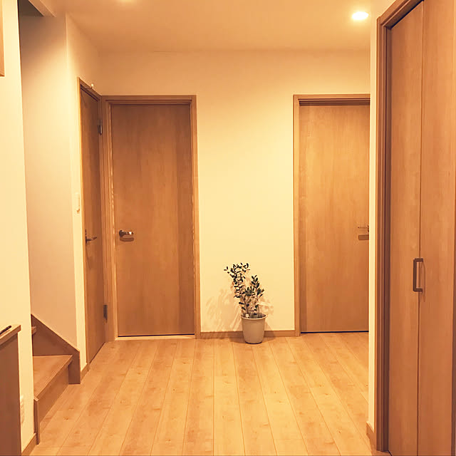 実例写真