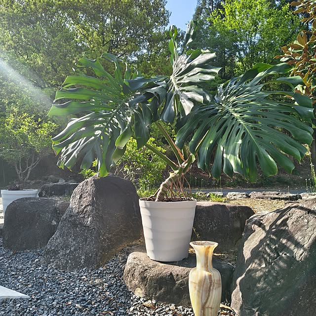 Rubiconさんの部屋