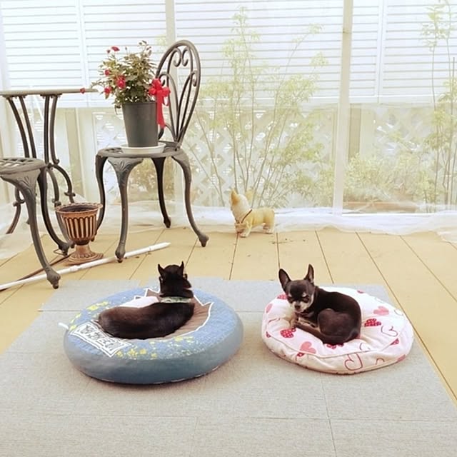 Bienvenueさんの部屋