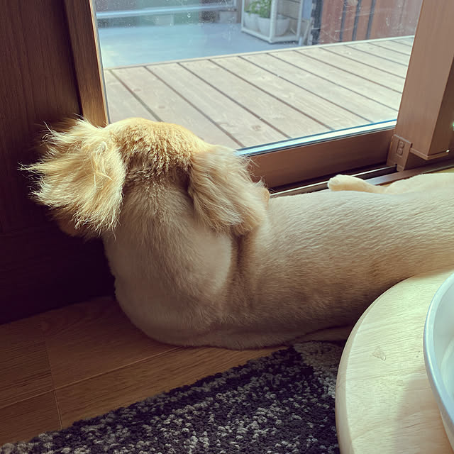 ponponcooさんの実例写真