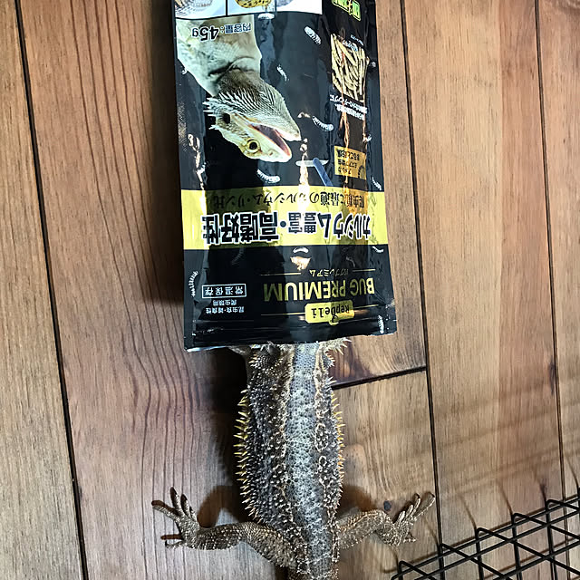 japitonさんの実例写真
