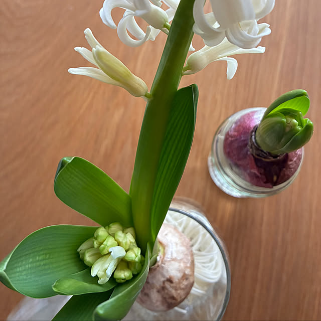 ue-51さんの部屋