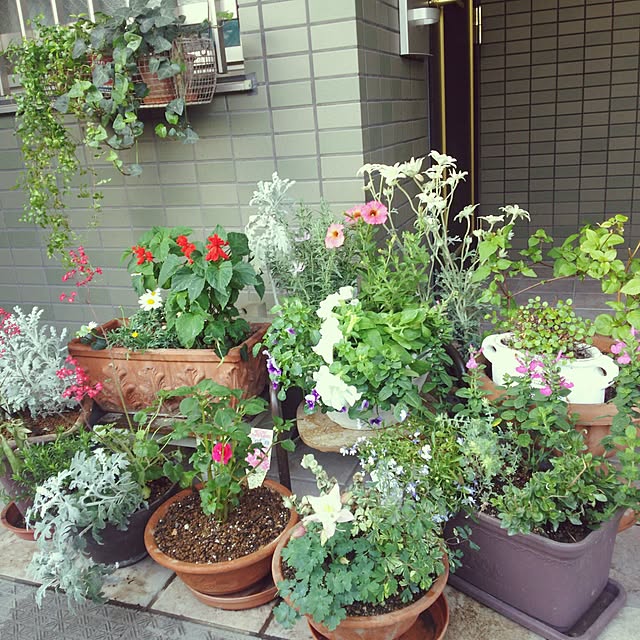 migaoさんの実例写真