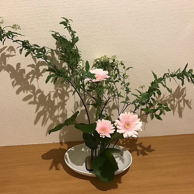 ranさんの実例写真