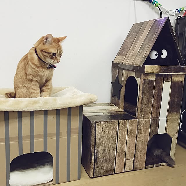 Hotateさんの実例写真