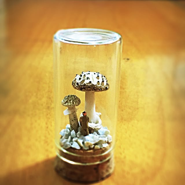 ramuchop3000さんの実例写真