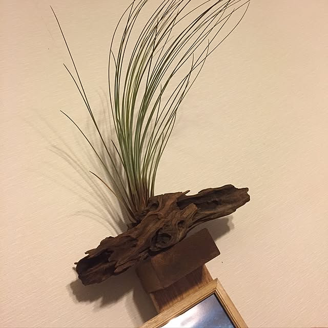 kenkenさんの実例写真