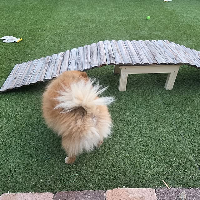 avovo7さんの実例写真