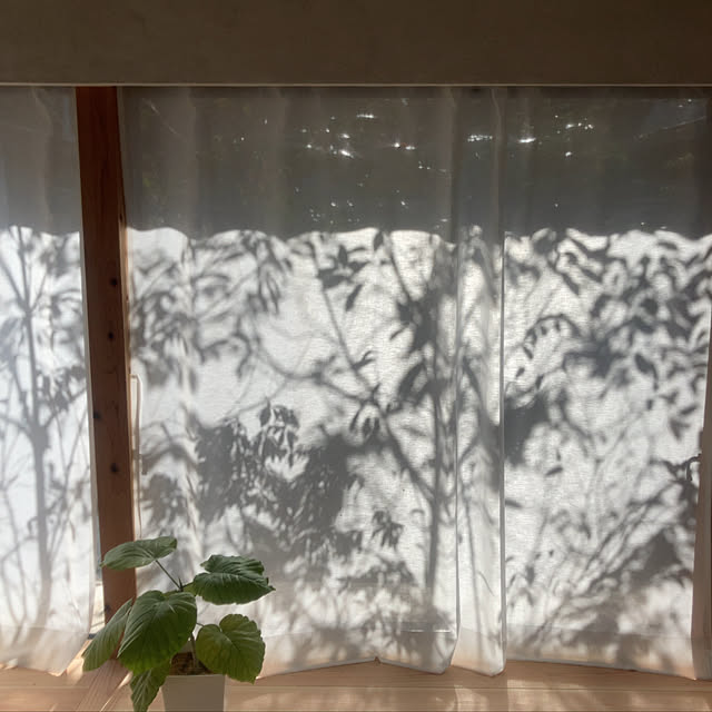 yuyu312さんの実例写真