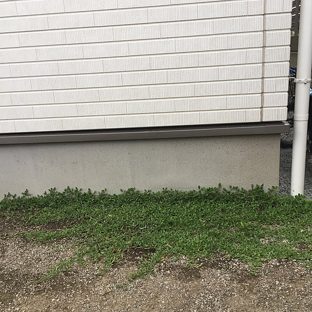 sachimさんの実例写真