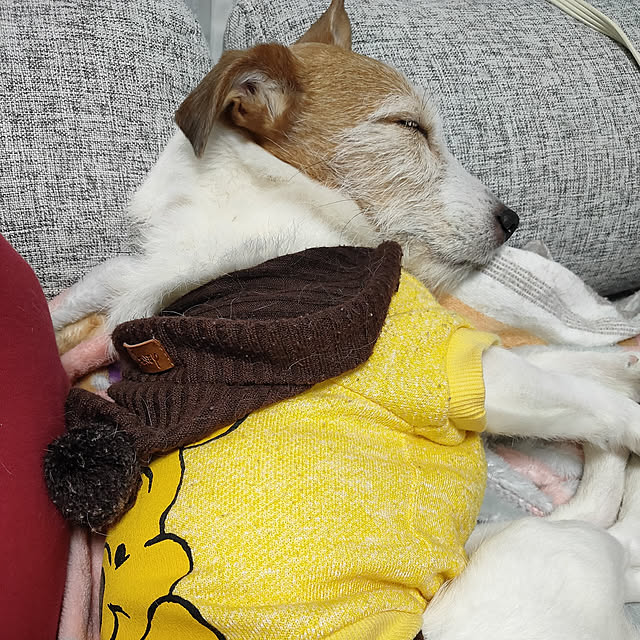 marosukeさんの実例写真