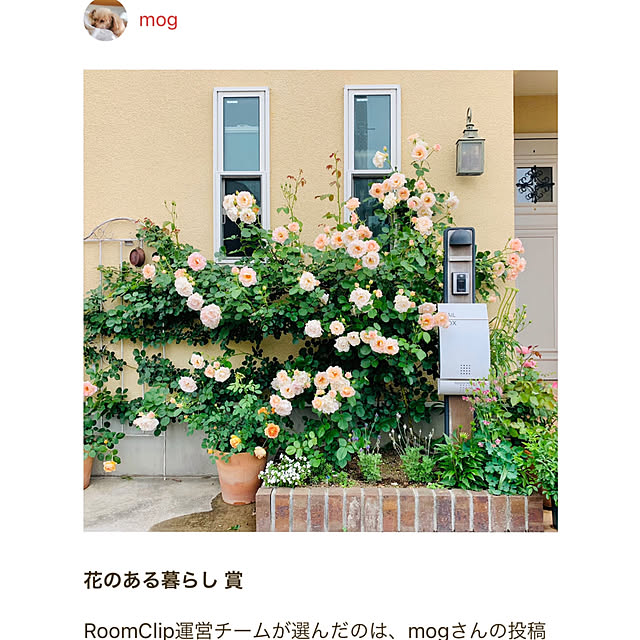 mogさんの実例写真