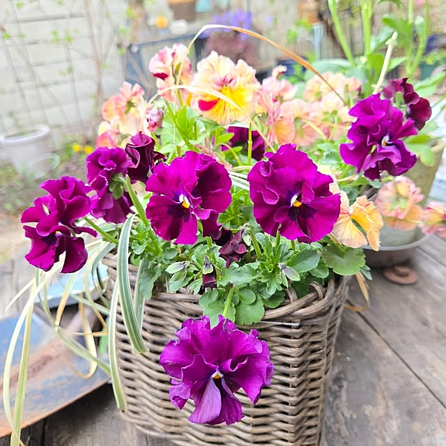 min_nimさんの実例写真