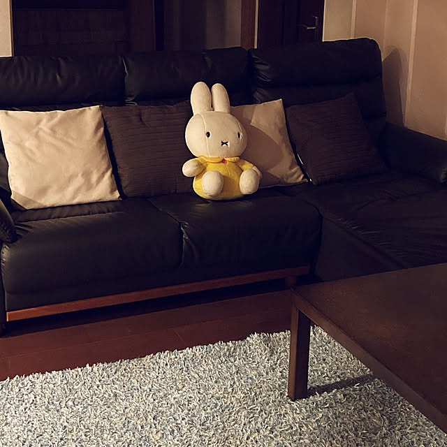 UMEchanさんの実例写真