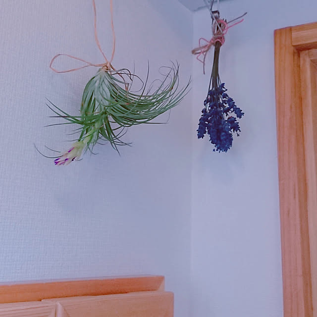 shimaさんの実例写真