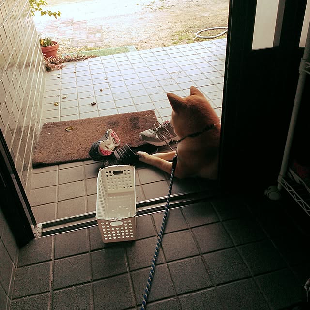 shion825さんの実例写真