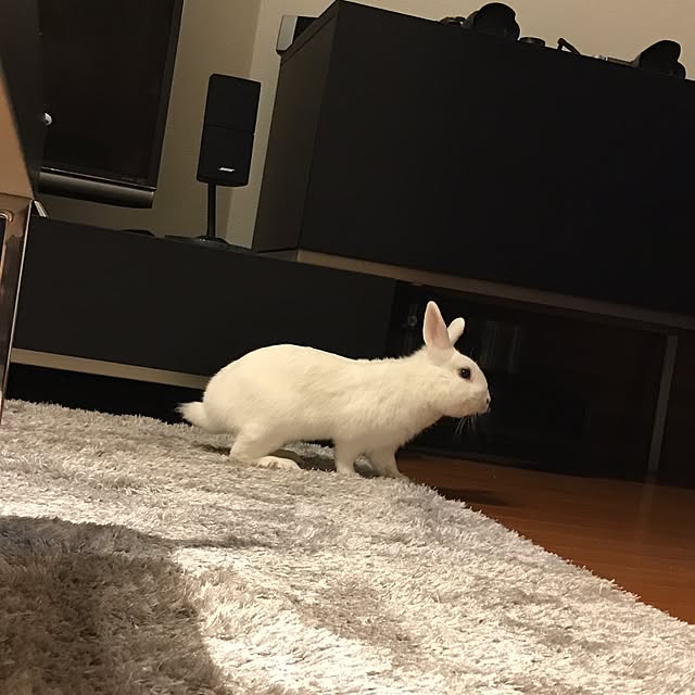 tさんの実例写真