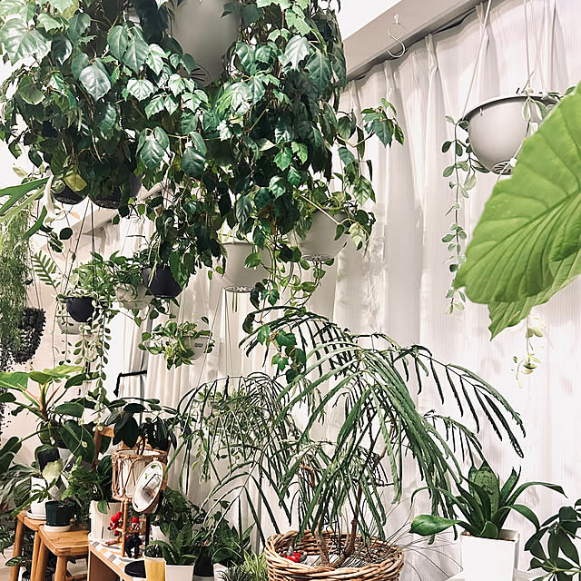 haraさんの実例写真