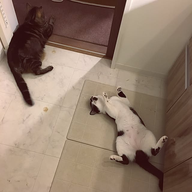 mikomaruさんの実例写真